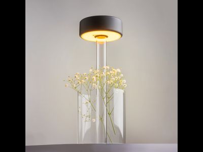 Аккумуляторный светильник AI Collaboration, MOD229TL-L3B3K1