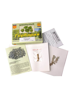 Гербарий "Водоросли. Грибы. Лишайники" (раздаточный)