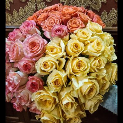 Роза Россия 40 см микс 51 шт