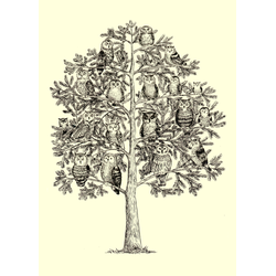 D0439 Совиное дерево