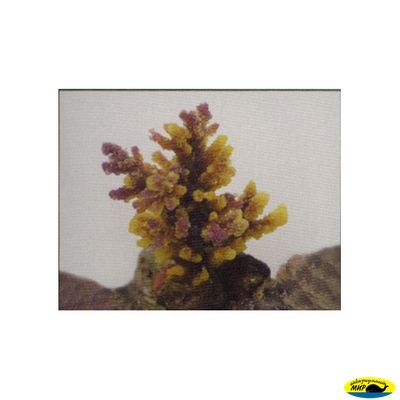 SH9032PUY Коралл пластиковый желто-коричневый 8*7*10см