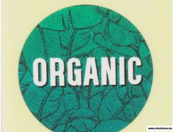Наклейка Organic Зеленый 2 x 2 см