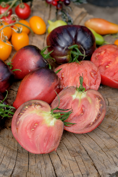 Томат Вишневый Сироп, 10 шт
