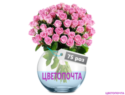 ���� �������� �����