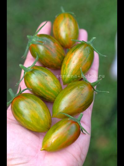 Томат Green Riper (Зеленый Рипер), 10 шт