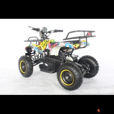 Квадроцикл GreenCamel Гоби K21 (12 Ah 36V 800W R6 Цепь) Граффити