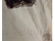 "В халате" бумага тушь, карандаш Залеман Г.Р. 1910-е годы
