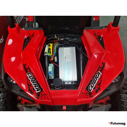 Электробагги SCANMOTO COBRA
