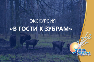 Экскурсия "В гости к зубрам"