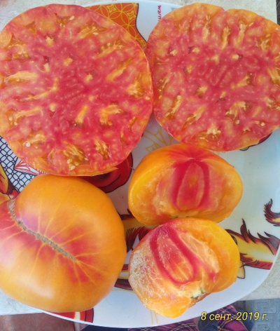 Томат Олд флейм (Old Flame, Старое пламя)