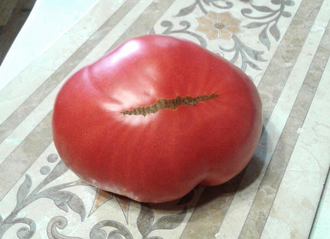 Семена томата Винзал