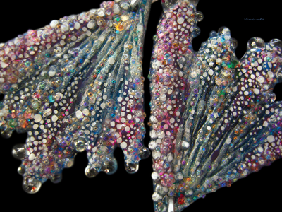 Коллекционные серьги "Крылышки весенней Лелефеи", лабрадоры и звёздочки