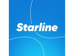 Табак для кальяна Starline 25 грамм