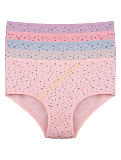 Трусы женские высокий бок Donella 253101 вискоза