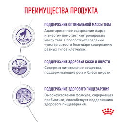 Royal Canin (Роял Канин) Neutered Adult Medium Dogs для стерилизованных собак средних пород, 3,5 кг