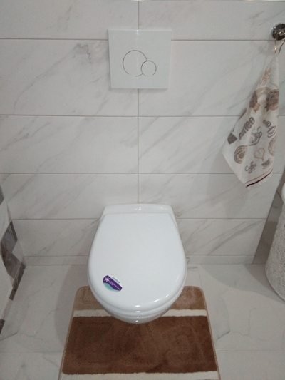 Комплект Santek Бореаль 1WH302464 подвесной унитаз+инсталляция +сиденье+панель бел. цвета