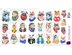 Слайдер дизайн 850