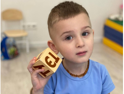 МИНИ САД  4-7 лет Гамарника, 37