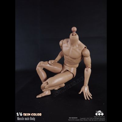 Тело стандартное с шеей 1/6 - NEW:2.0  Body NO: BD009 - COOMODEL