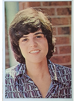 Donny Osmond Музыкальные открытки, Original Music Card, винтажные почтовые открытки, Intpressshop