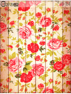 Фотофон виниловый «Джальмо»