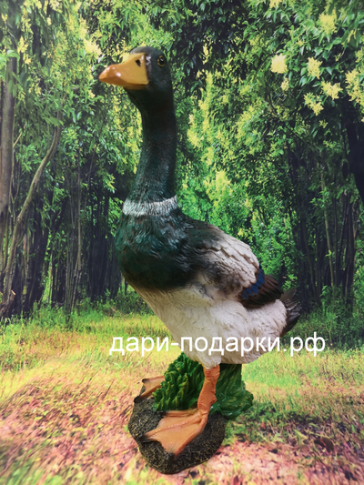 Селезень - красавец 40*28см полистоун Россия 1675/012564*