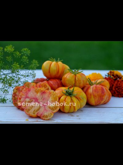 Томат Sunrise Jazz (Восход Джаза), 10 шт