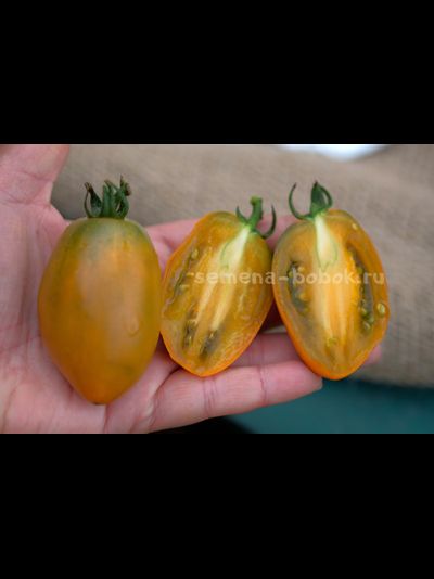 Томат Dwarf Laura’s Bounty (Лаура Баунти), 10 шт