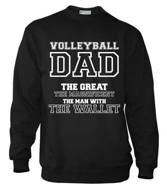 Толстовка Volleyball Dad