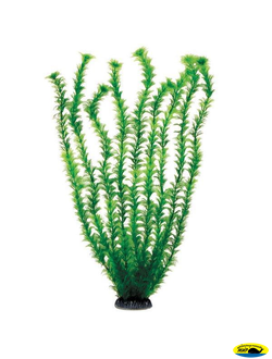 Ар1225 5568 Растение пласт 55см зеленое Адонис