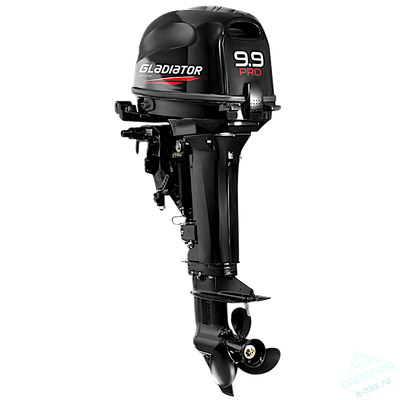 Лодочный мотор Gladiator G9.9Pro FES (20л.с.)