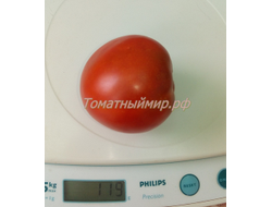 Томат Гном Австралийская Капля (Dwarf Aussie Drop)