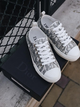 Кеды Converse Dior серые низкие (36-45)