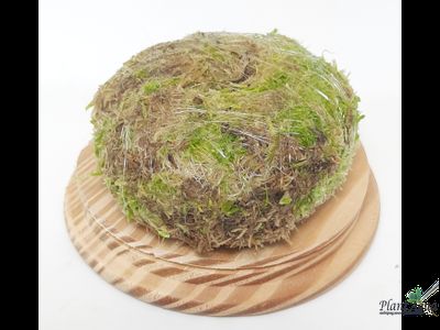 Кочка питательная Ваби-Куса