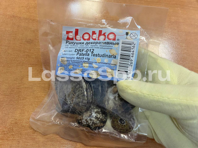 Ракушки натуральные Patella Testudinaria 2.5-6.3 см 50 г