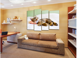 Модульная картина "На подушечке"