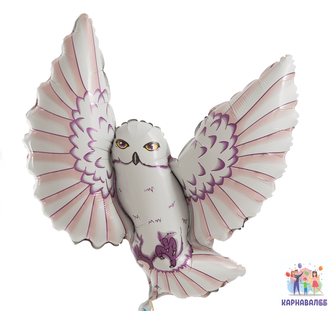 Шар Сова Гарри Поттер 100 см ( шар + гелий + лента)