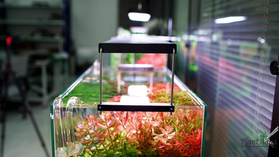 Светильник Chihiros WRGB II 90 black (90-110 см)