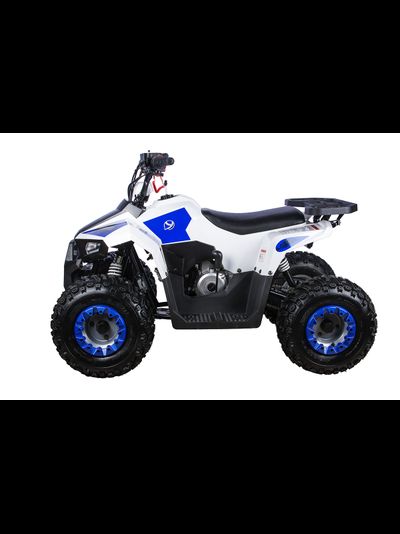 Квадроцикл YACOTA RAPOSA
