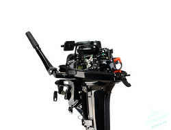 Лодочный мотор Gladiator G20FHS