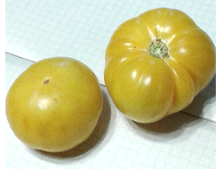 Семена томата Жёлтый с красной прожилкой