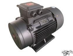 Электродвигатель TOR H160 14950, полый вал 15 кВт