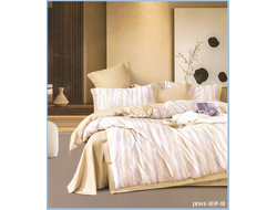 Комплект с шелковым одеялом летним "Классика" JRWF 200*230 (5 частей)