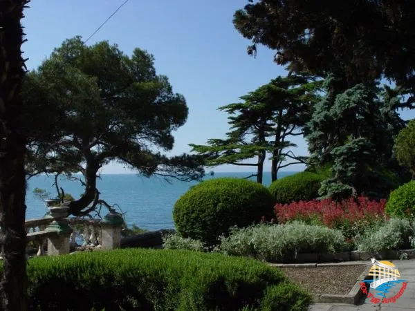 парк в Симеизе