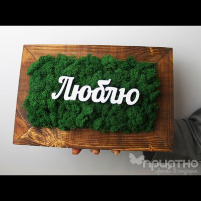 ЖИВАЯ ЭКО-КАРТИНА 1047