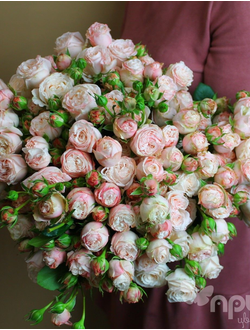 БУКЕТ МОНО ЦВЕТОВ № 443