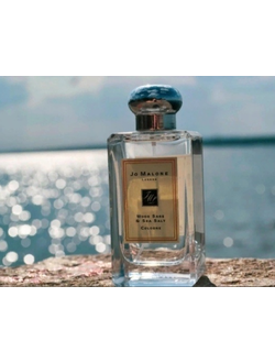 JO MALONE LONDON Wood Sage & Sea Salt Cologne