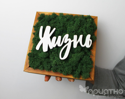 ЖИВАЯ ЭКО-КАРТИНА 1059