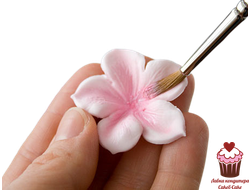 Цветочная пыльца