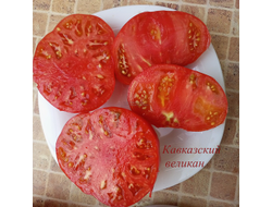Томат Кавказский великан